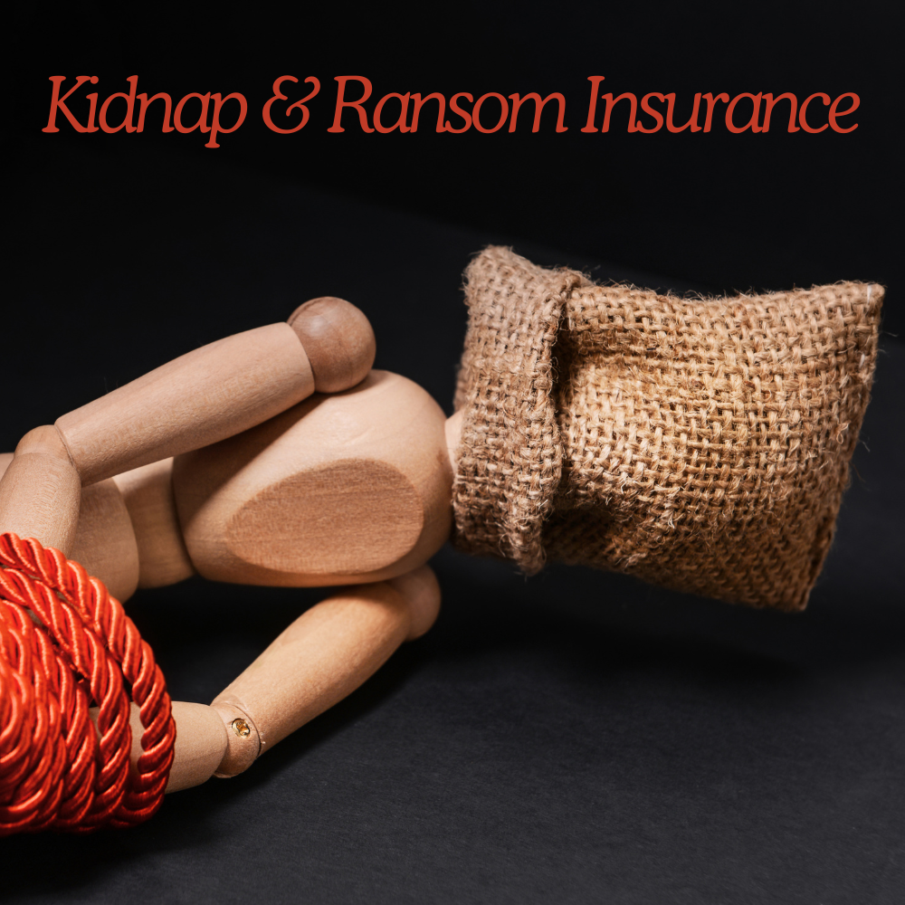 Kidnap and Ransom Insurance