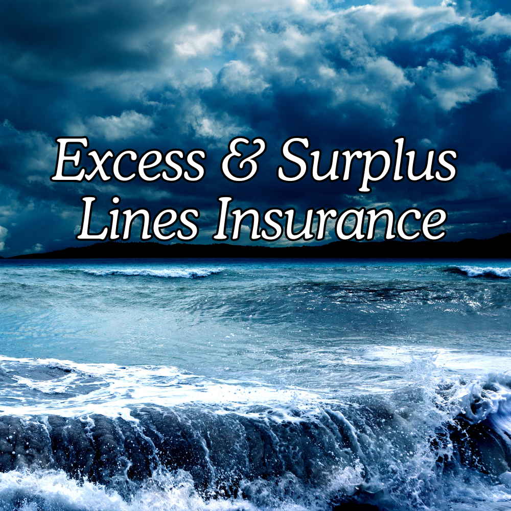 Excess and Surplus Lines Insurance: History, Fundamentals and Future